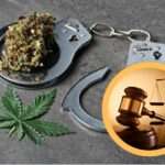 Two Men Await Sentencing After Admitting to Cannabis Possession