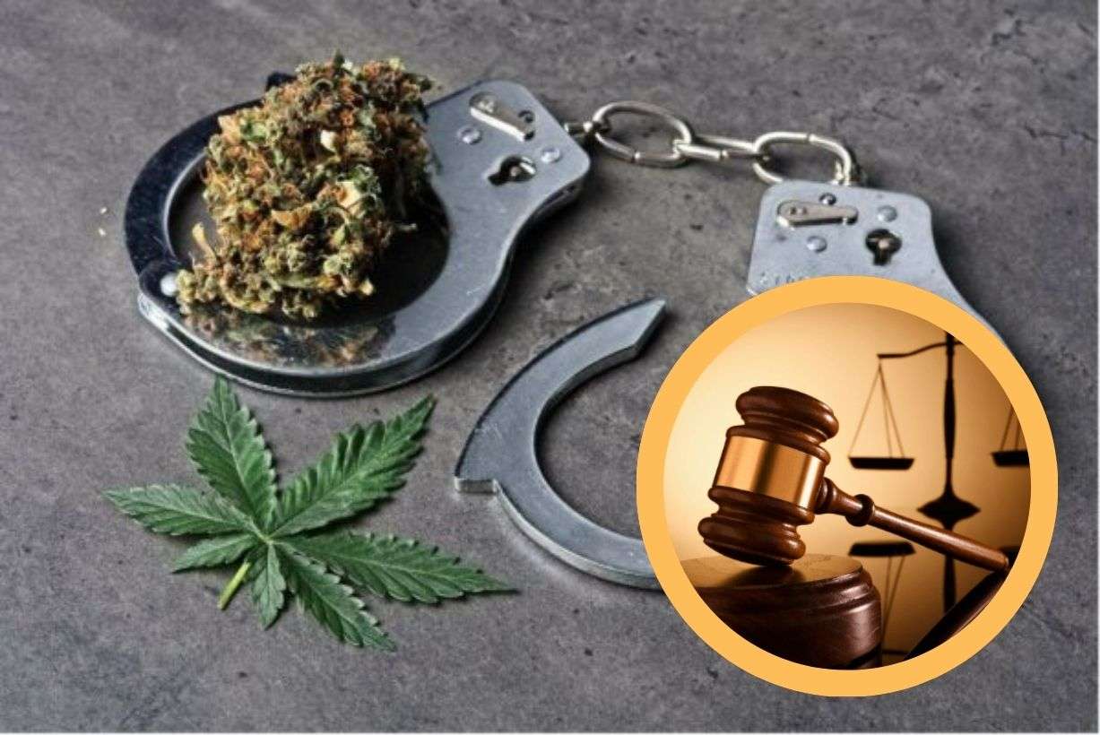 Two Men Await Sentencing After Admitting to Cannabis Possession