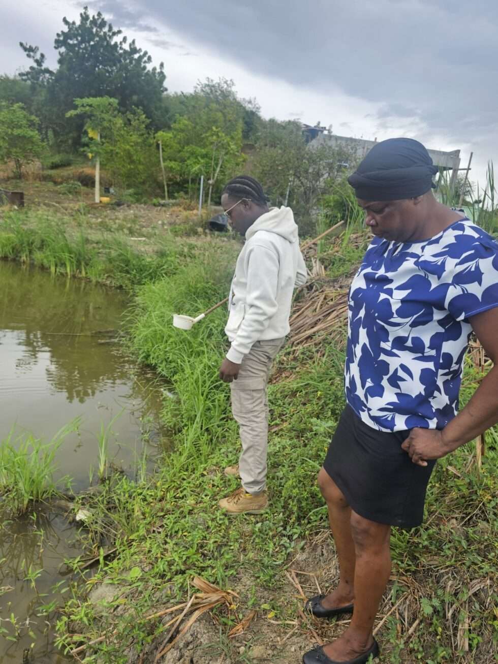 Mosquito Control Efforts Strengthened as Ministry of Health Confirms ...
