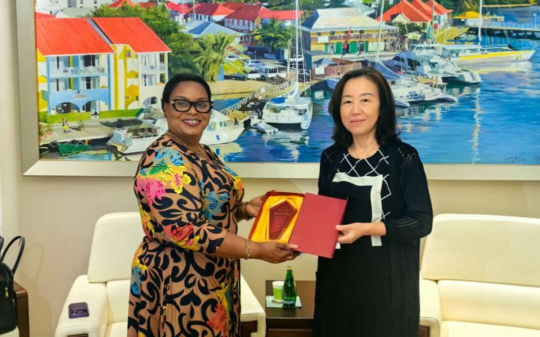 Warm Tributes Continue for Outgoing Chinese Ambassador Zhang