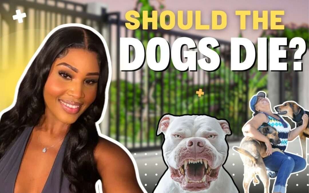 Should the Dogs Die—or Should the Owner Pay? | VIDEO STORY