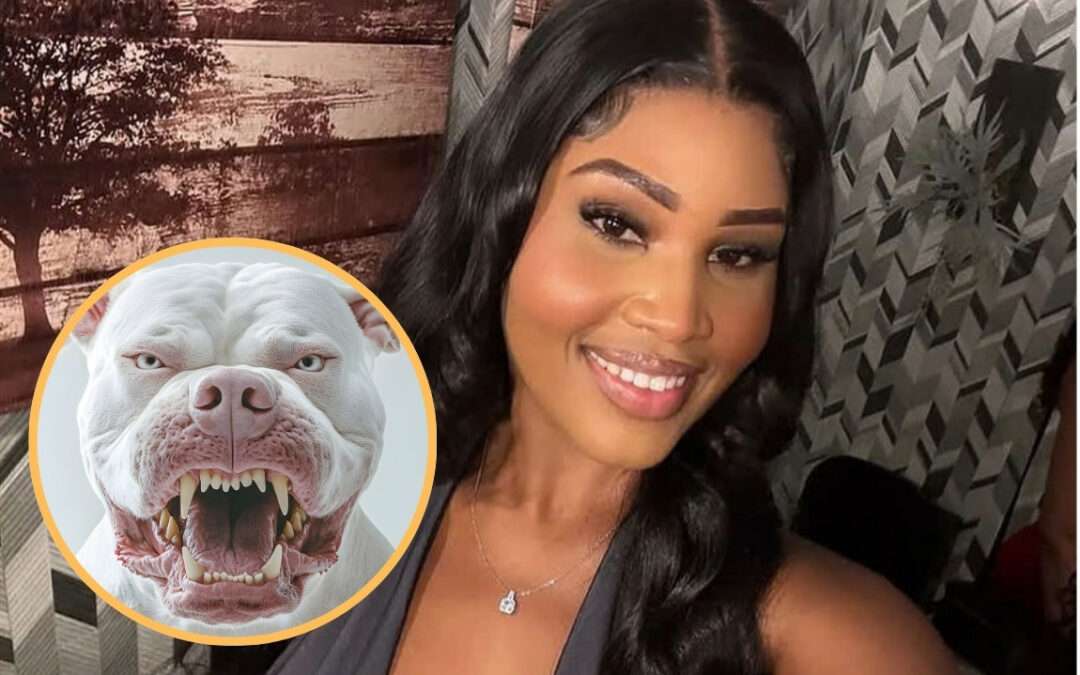 LETTER: Are the Two Pit Bulls That Bit Shabo Still Alive?