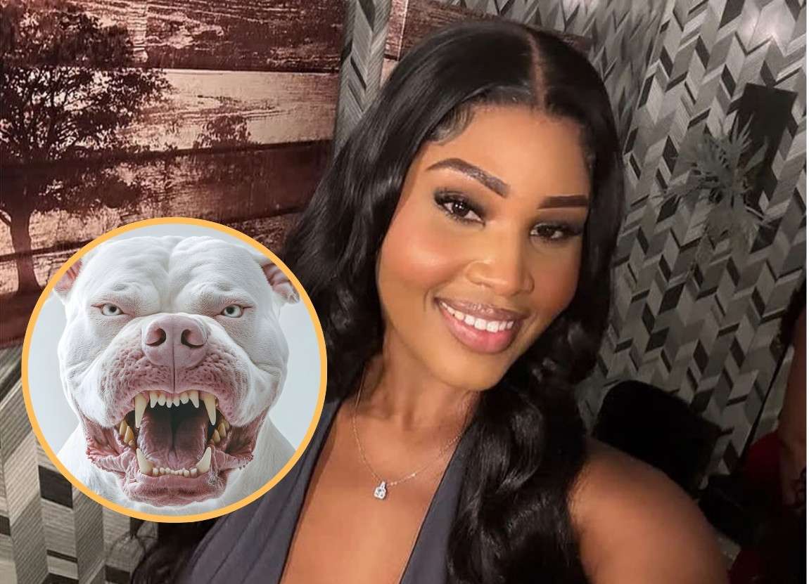 LETTER: Are the Two Pit Bulls That Bit Shabo Still Alive?