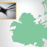 20th Earthquake This Week Recorded Near Antigua and Barbuda