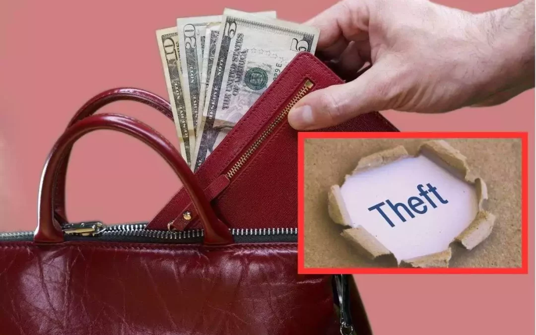 Teacher Robbed of $7000 Cash and Documents at Mary E. Pigott Primary