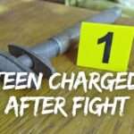 Teen Charged After Fight in Cashew Hill