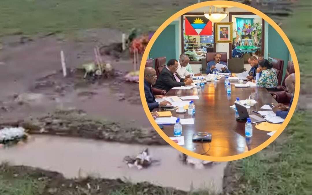 Cabinet Approves Installation of Drainage System at Tranquility Park Cemetery Following Heavy Flooding