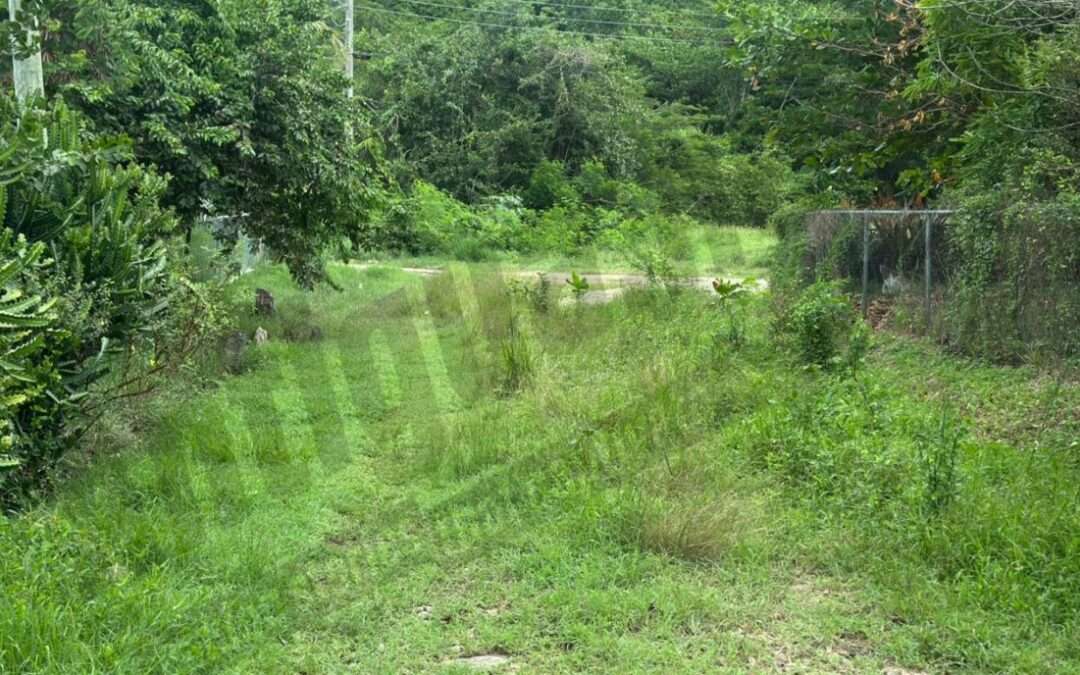 LETTER: Are our representatives sleeping or failing?