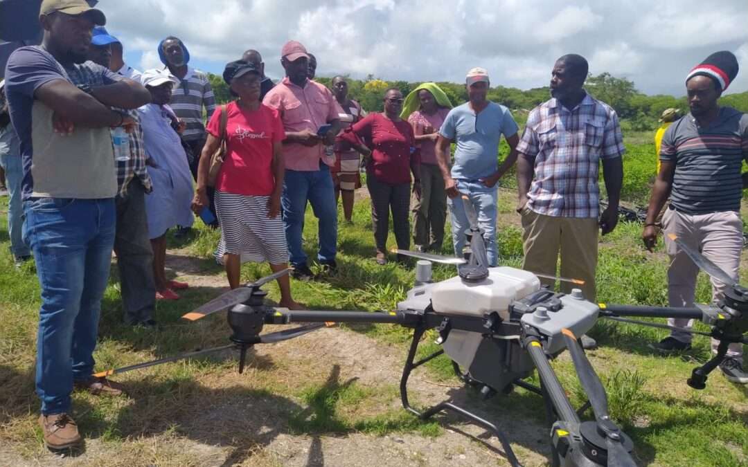 FAO Launches Digital Agriculture Workshop to Boost Crop Management in Antigua and Barbuda