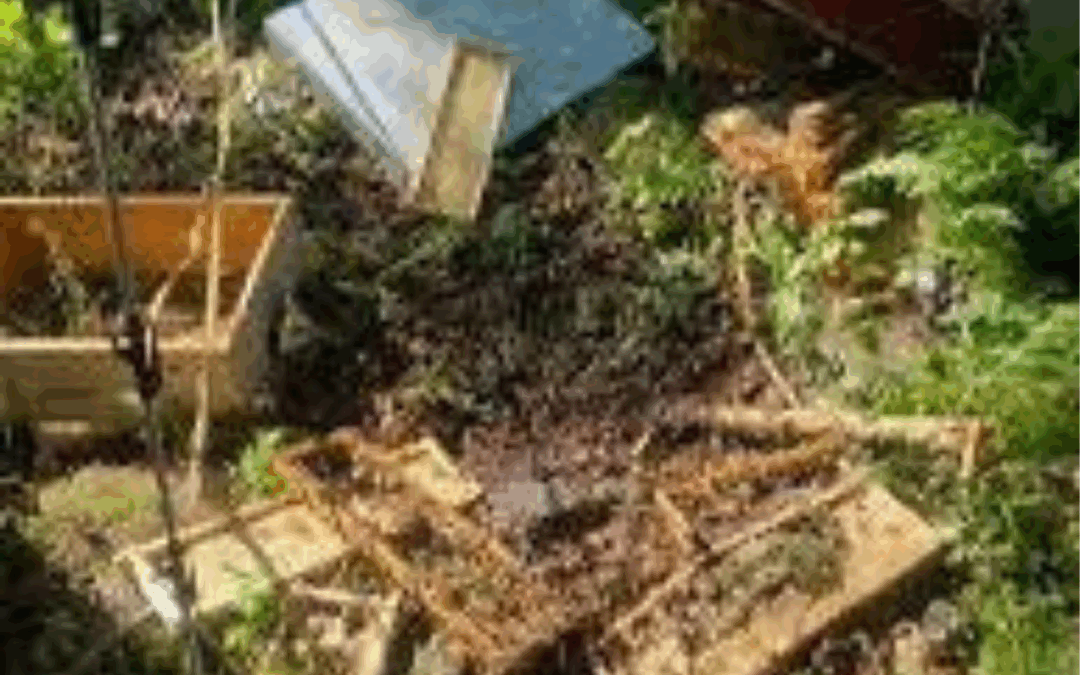 Ministry Raises Alarm Over Rising Farm Vandalism and Theft