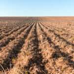 Unproductive farmers will have land taken away under new initiative