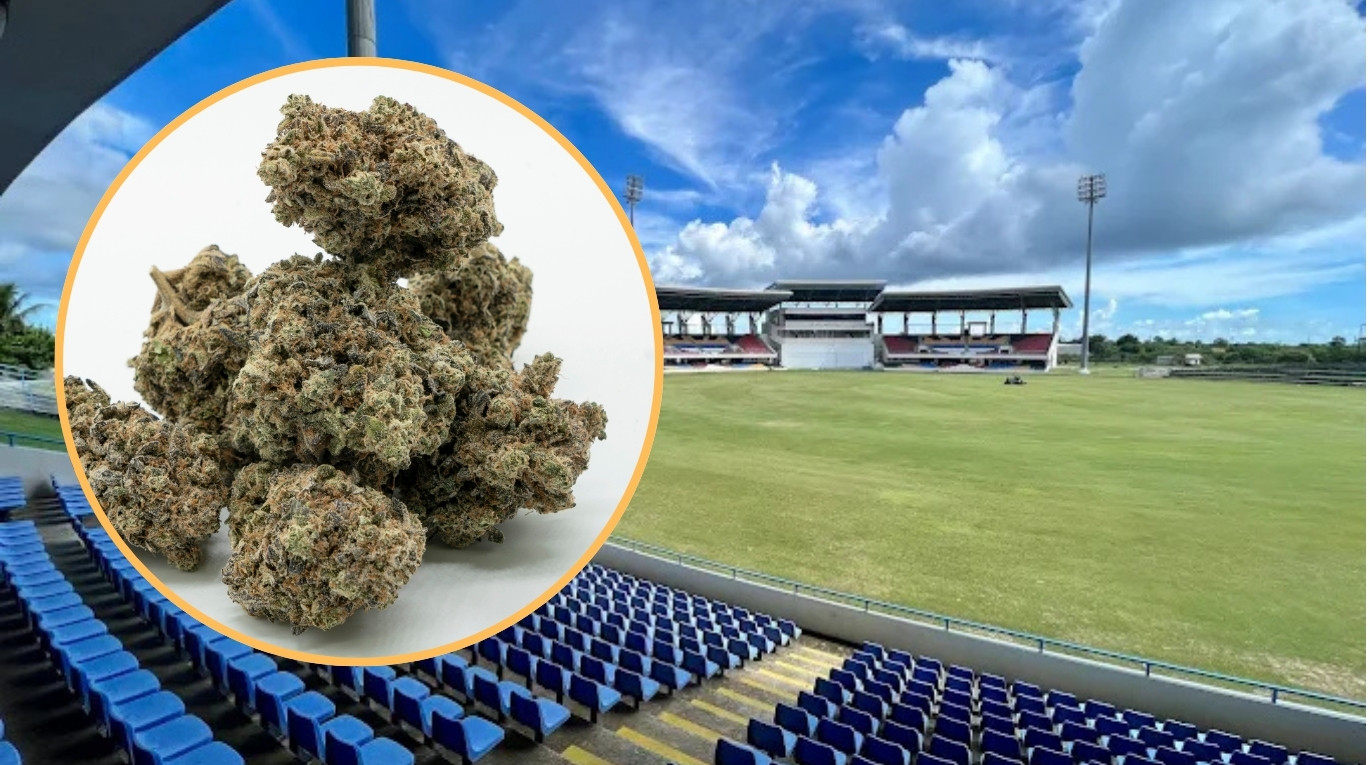 Two 12-Year-Old Otto’s Comprehensive Students Caught with Cannabis at Sir Vivian Richards Stadium