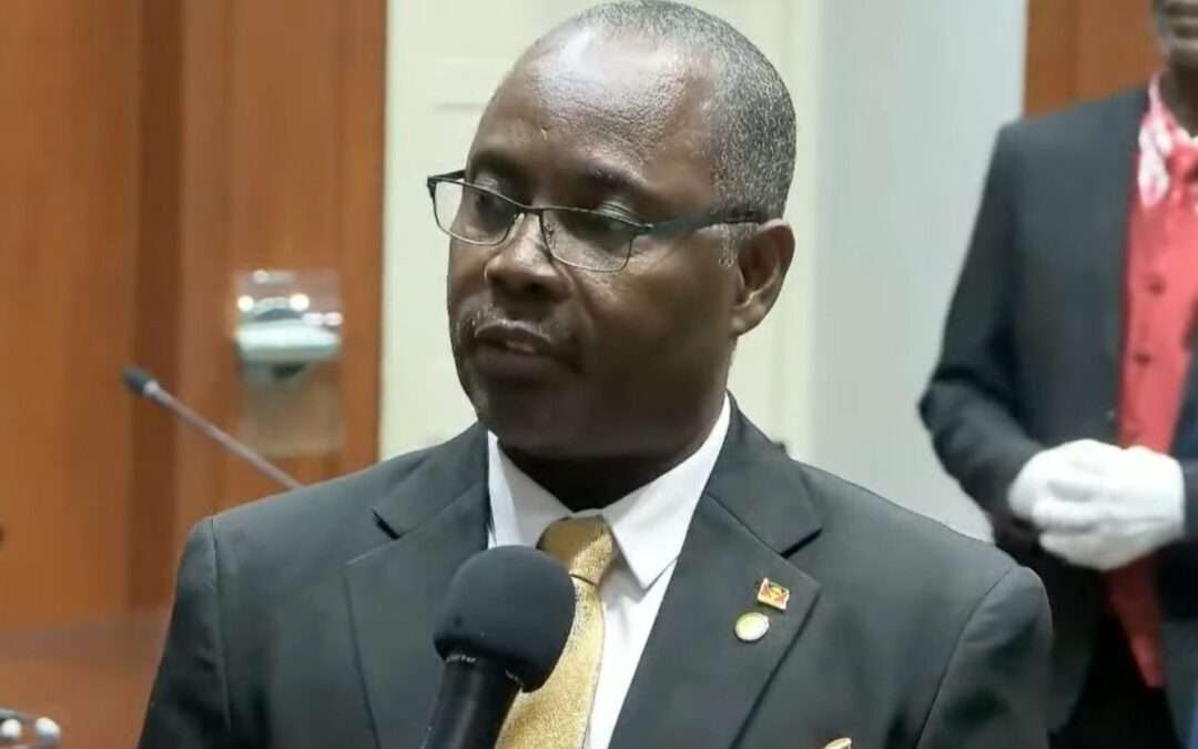 WATCH: UPP’s Richard Lewis Hopes Budget Will Address Legislative Reforms and Social Gaps