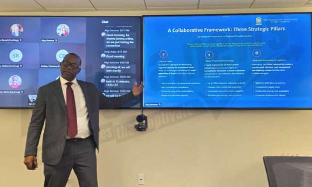 Telemaque Calls for “New Maritime Partnership” Between Caribbean Ports and Cruise Lines