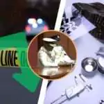 Serious Crime Down 10% in 2025; New Forensic Services Unit to Launch Next Year