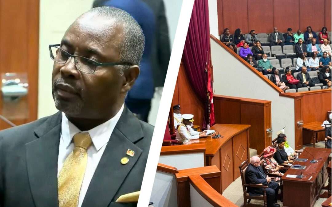 Opposition MP Richard Lewis Says Throne Speech Was “A Recap,” Lacking 2024–2025 Performance