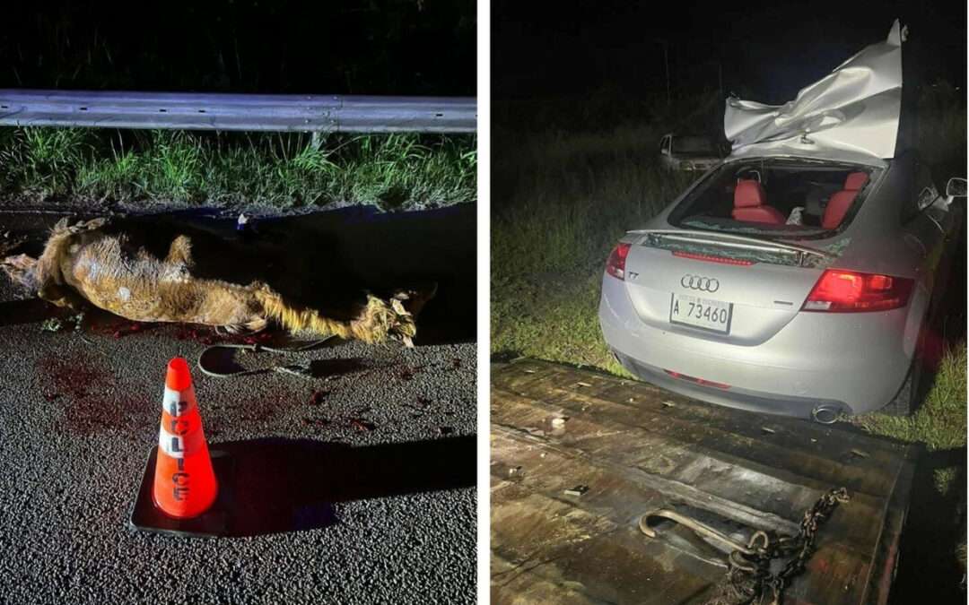 Man Dies After Collision on Friar’s Hill Road