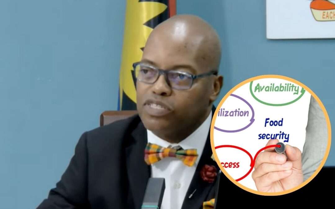 New Push for Food Security: Aid, Parks, and Subsidies