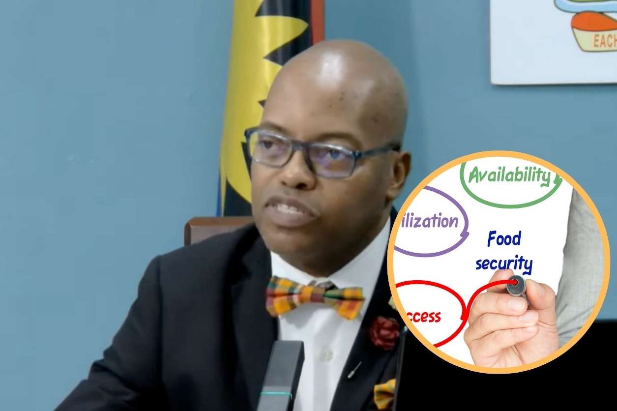 New Push for Food Security: Aid, Parks, and Subsidies