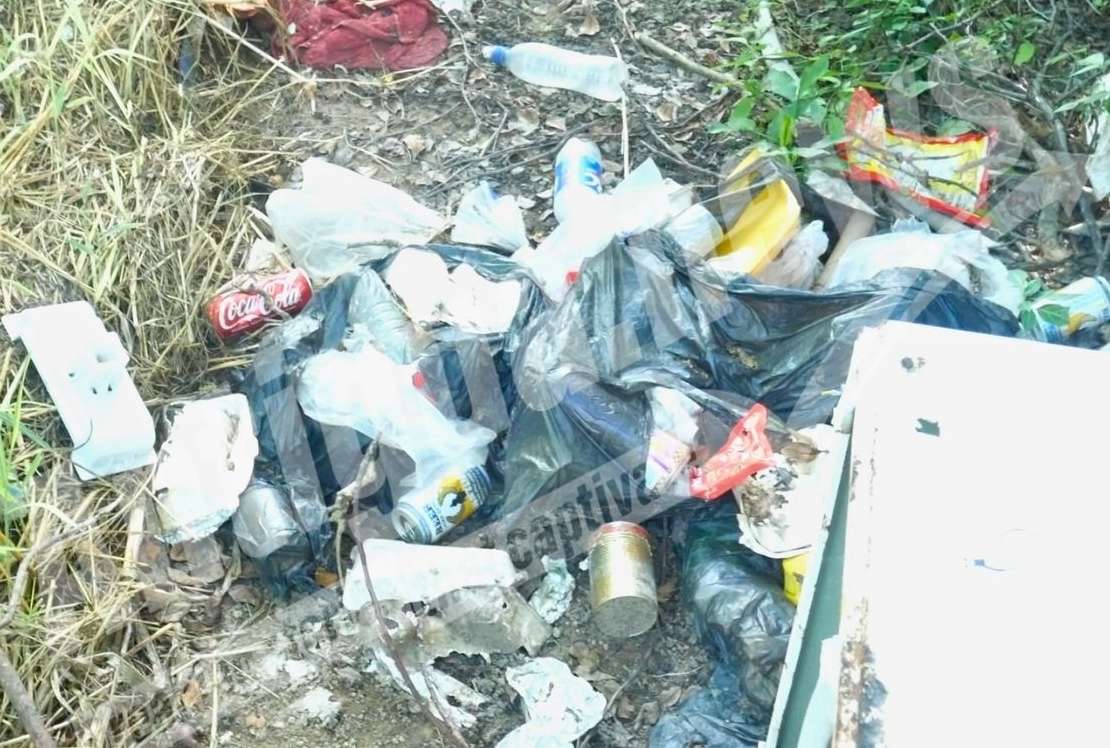 Illegal Dumpsite Along Royalton Road Raises Alarm | VIDEO STORY