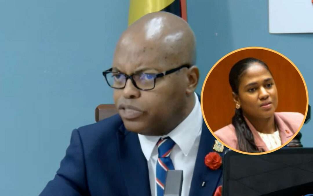 Merchant Defends Minister Bird Browne, Says “Vehicle-Gate” Attacks Are Political and Unwarranted