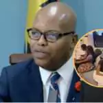 Students in Jamaica Thank Government for Swift Action During Hurricane Melissa