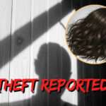 Ex-Boyfriend Accused of Stealing $800 Wig and Cash in St. John’s Incident