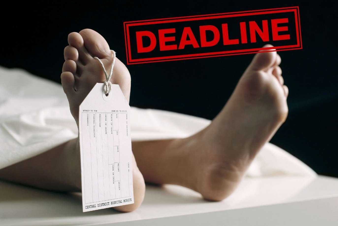 Authorities Urge Families to Claim Relatives’ Bodies Before November 21 Deadline