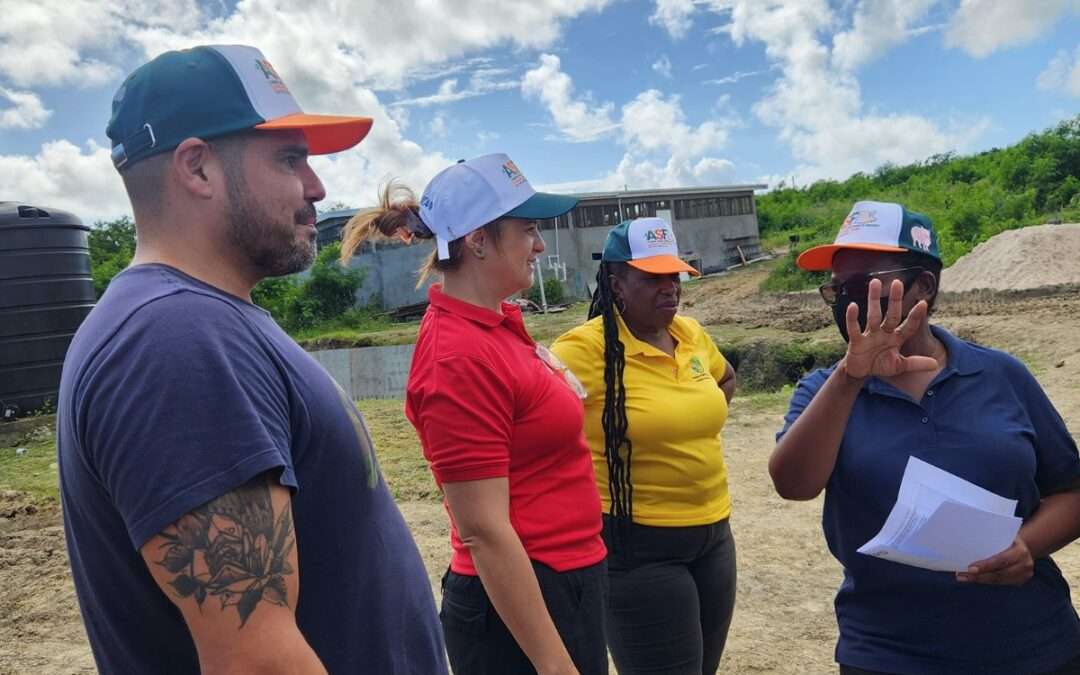 Antigua and Barbuda strengthens biosecurity under ASF Sampling Pilot