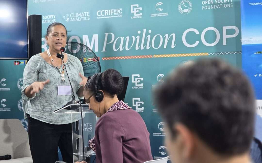 Antigua and Barbuda’s Diann Black-Layne Shares Key Climate Finance Strategies at Virgin Islands Briefing During COP30