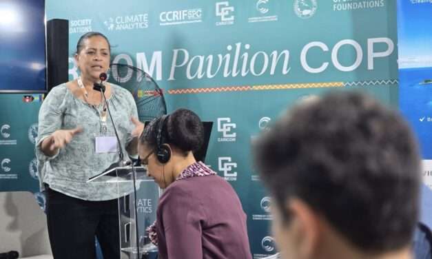 Antigua and Barbuda’s Diann Black-Layne Shares Key Climate Finance Strategies at Virgin Islands Briefing During COP30