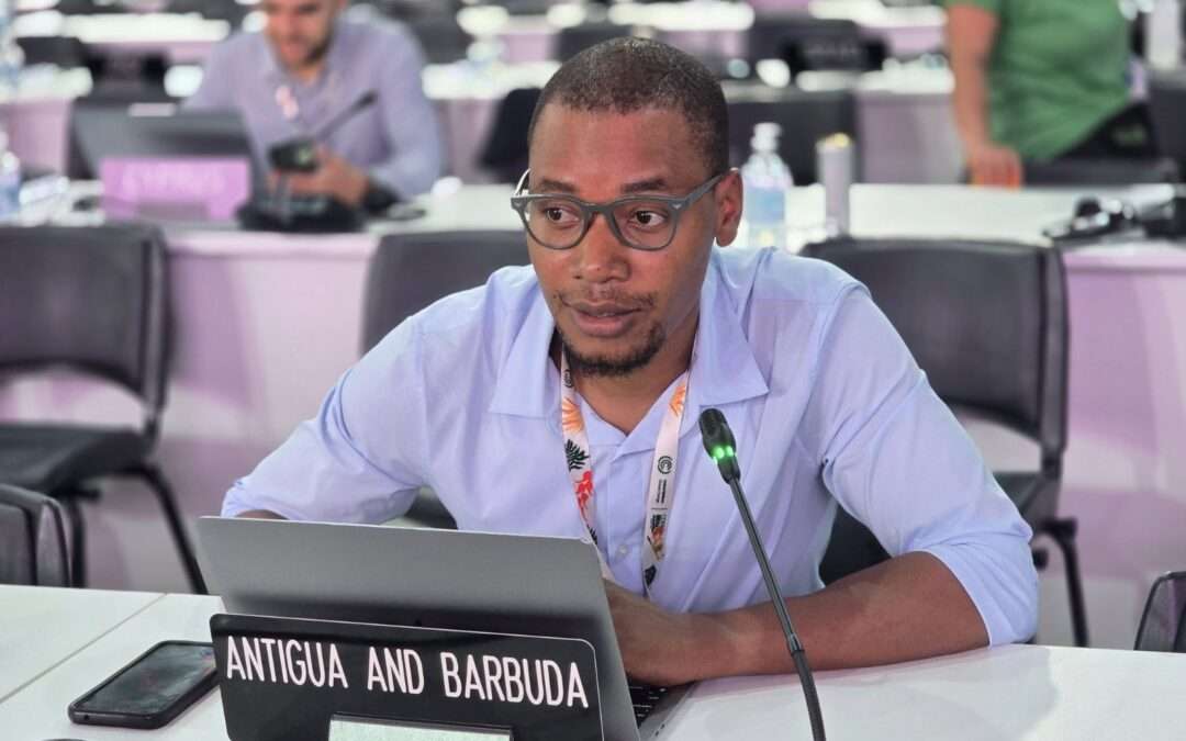 AOSIS Climate Lead Arry Simon Urges Stronger Scientific Accountability as RSO Negotiations Close