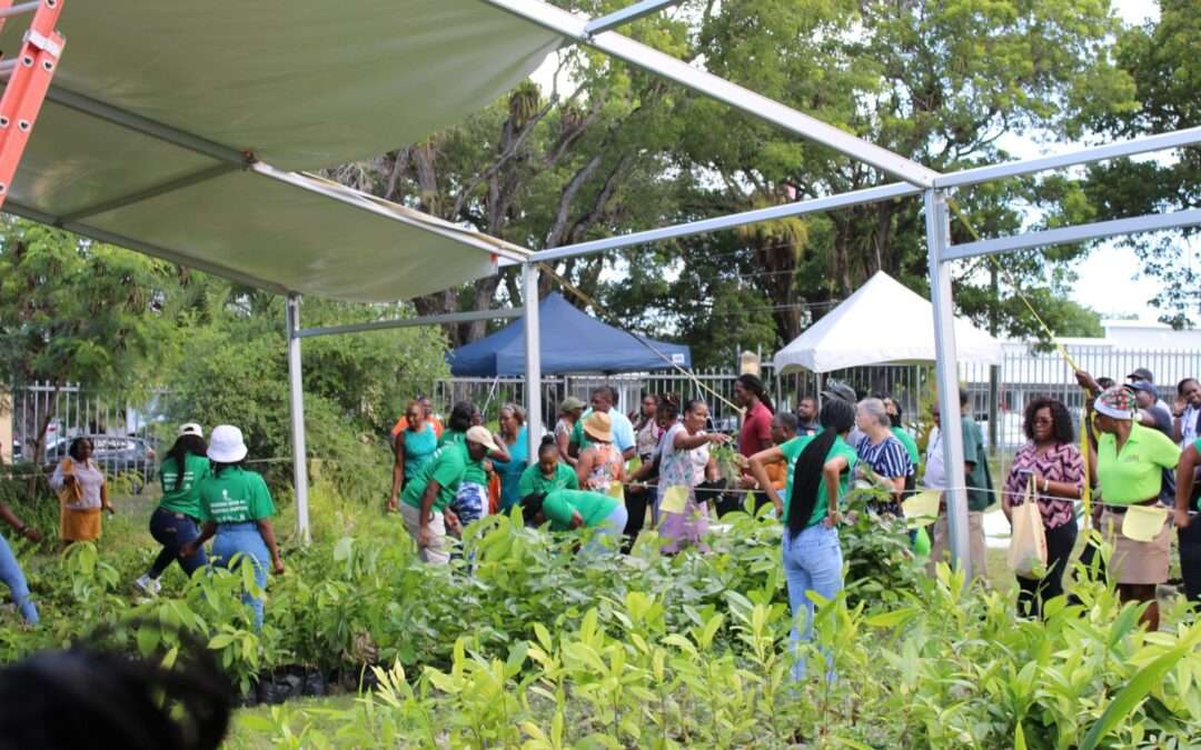 Department of Environment Marks Arbor Day with Vibrant Plant Fair