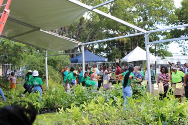 Department of Environment Marks Arbor Day with Vibrant Plant Fair