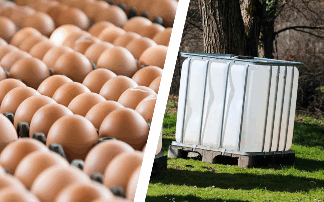 Agriculture Sector Expands: Egg Self-Sufficiency, New Abattoirs, and Water Improvements
