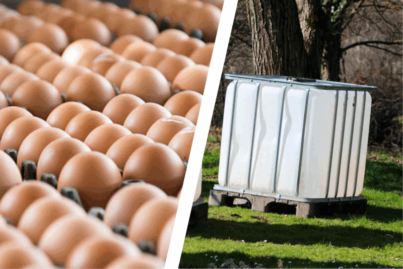 Agriculture Sector Expands: Egg Self-Sufficiency, New Abattoirs, and Water Improvements