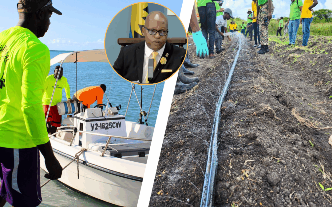 Farmers and Fishermen to receive assistance from Cabinet