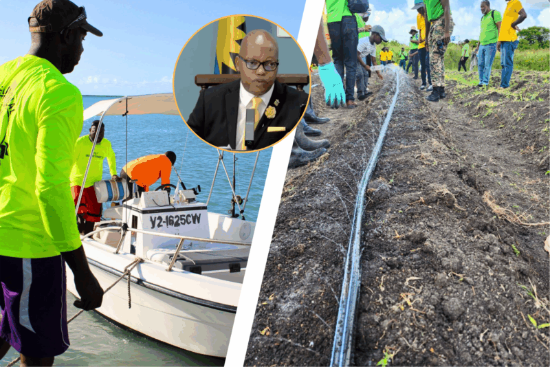 Farmers and Fishermen to receive assistance from Cabinet