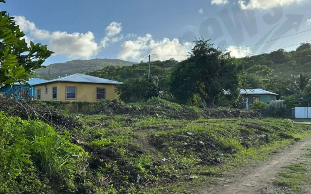 LETTER: Thank You Lamin Newton for Folley’s Cleanup Efforts