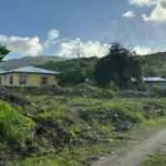 LETTER: Thank You Lamin Newton for Folley’s Cleanup Efforts