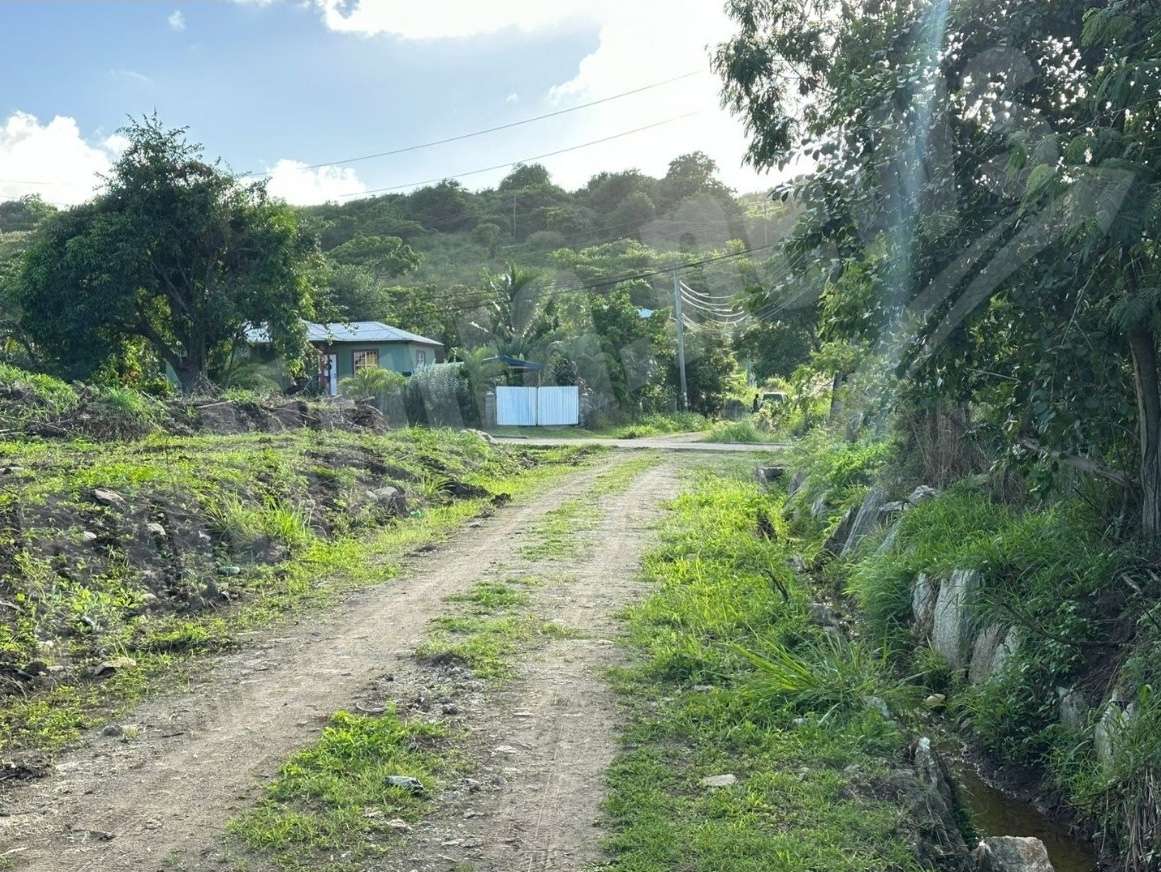 LETTER: Thank You Lamin Newton for Folley’s Cleanup Efforts