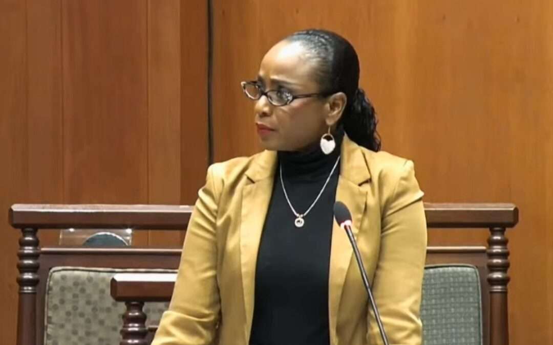 Senator Kirwan Urges Government to Put Maintenance Before Expansion in 2026 Budget