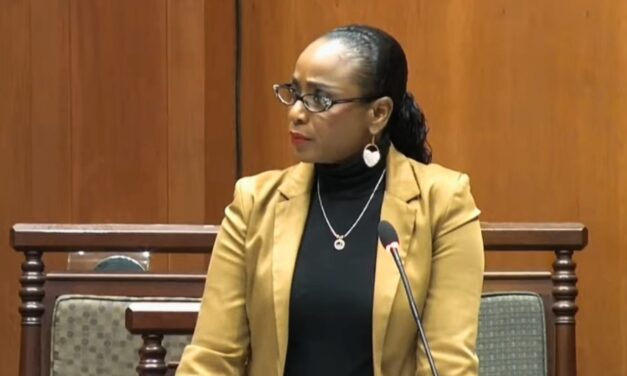 Senator Kirwan Urges Government to Put Maintenance Before Expansion in 2026 Budget