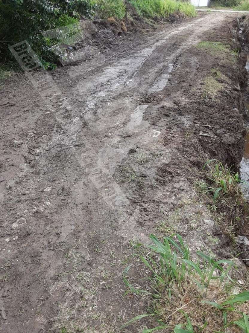 LETTER: Thank You Lamin Newton for Folley’s Cleanup Efforts