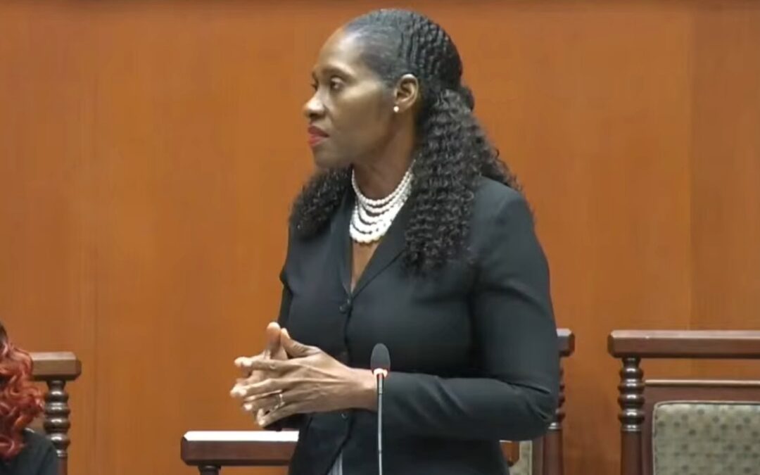 Opposition Senator Quinn-Williams Says 2026 Budget ‘Disconnected from Reality’, Should Be Thrown in the Trash
