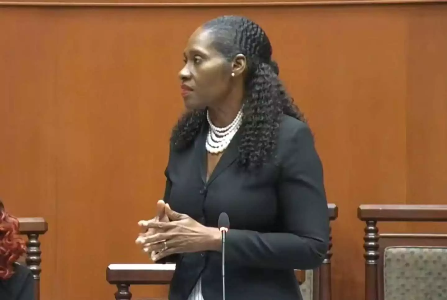 Opposition Senator Quinn-Williams Says 2026 Budget ‘Disconnected from Reality', Should Be Thrown in the Trash