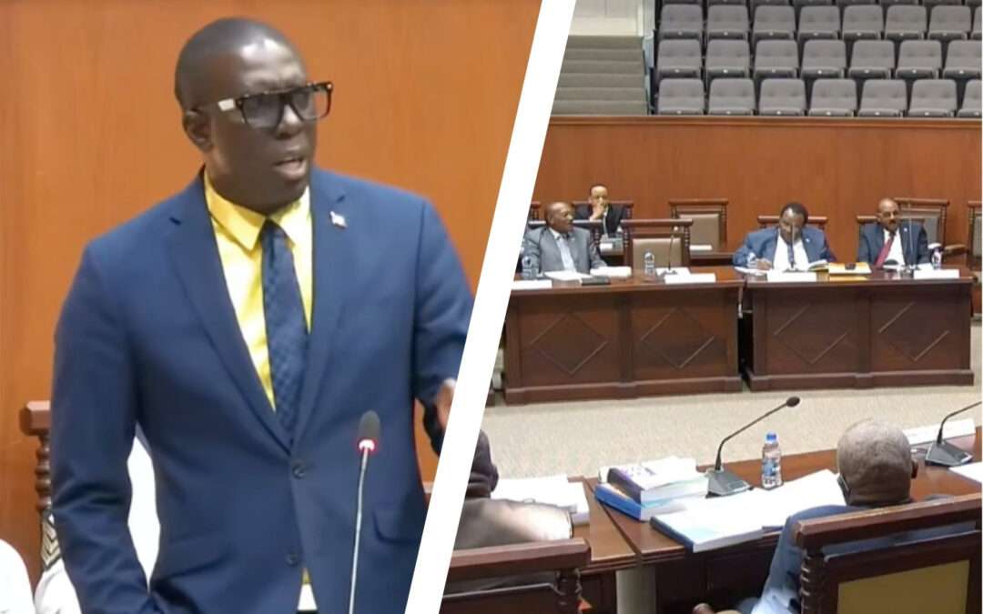 Pringle Accuses Government of “Deception and Contradiction” in 2026 Budget Response