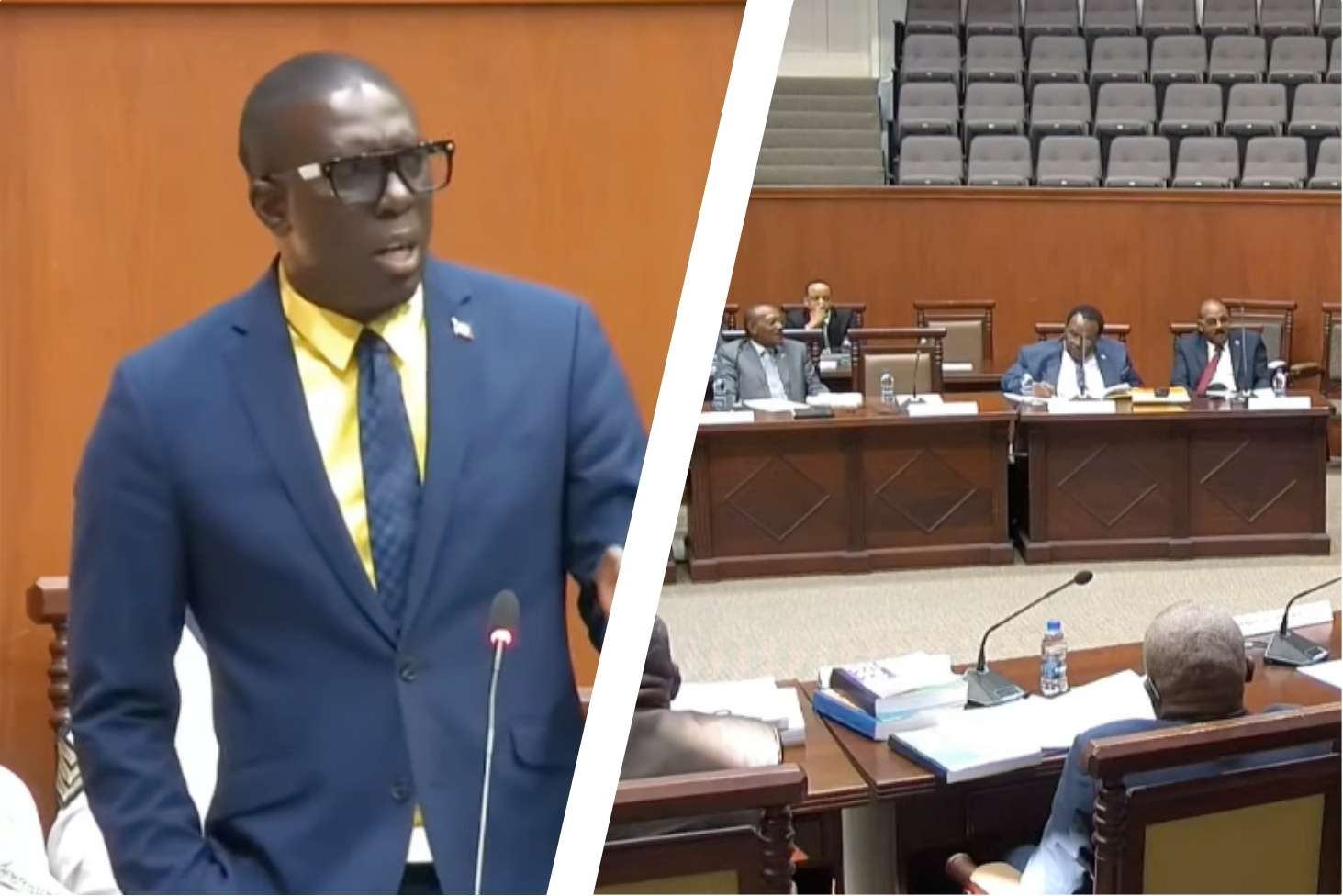 Pringle Accuses Government of “Deception and Contradiction” in 2026 Budget Response