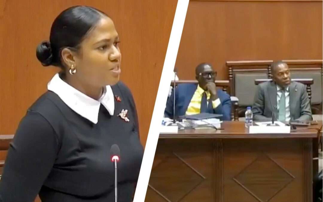 WATCH: Bird Browne Defends Role Amid $15M Government Vehicle Sale Controversy