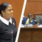 WATCH: Bird Browne Defends Role Amid $15M Government Vehicle Sale Controversy